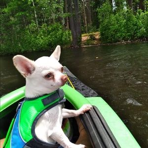 Meet your Posher, Katie